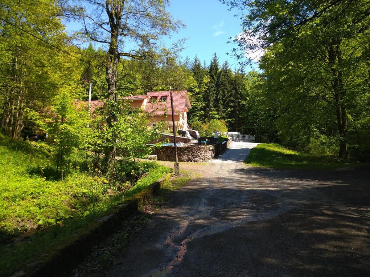Dworek Lesny Kudowa-Zdrój Exterior foto