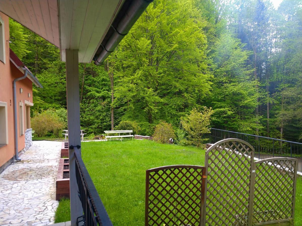 Dworek Lesny Kudowa-Zdrój Exterior foto