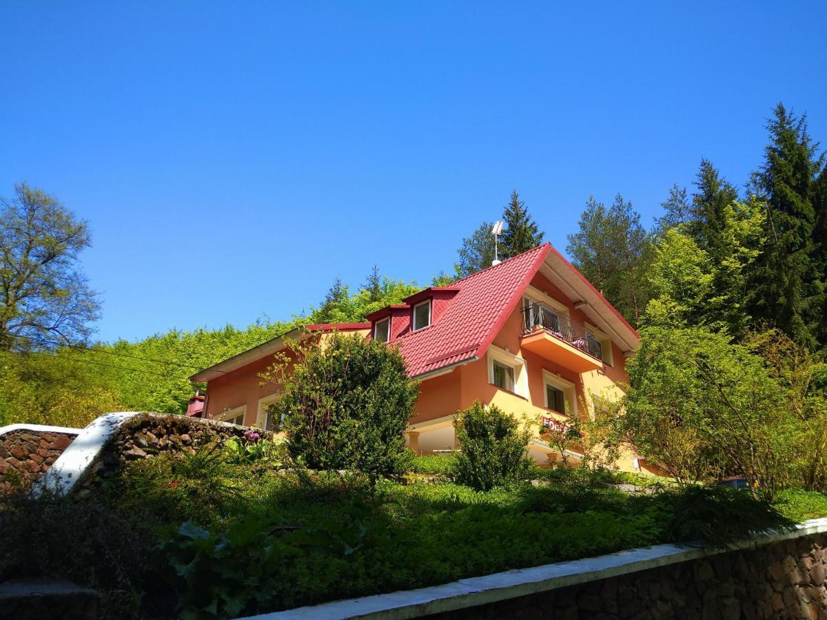 Dworek Lesny Kudowa-Zdrój Exterior foto