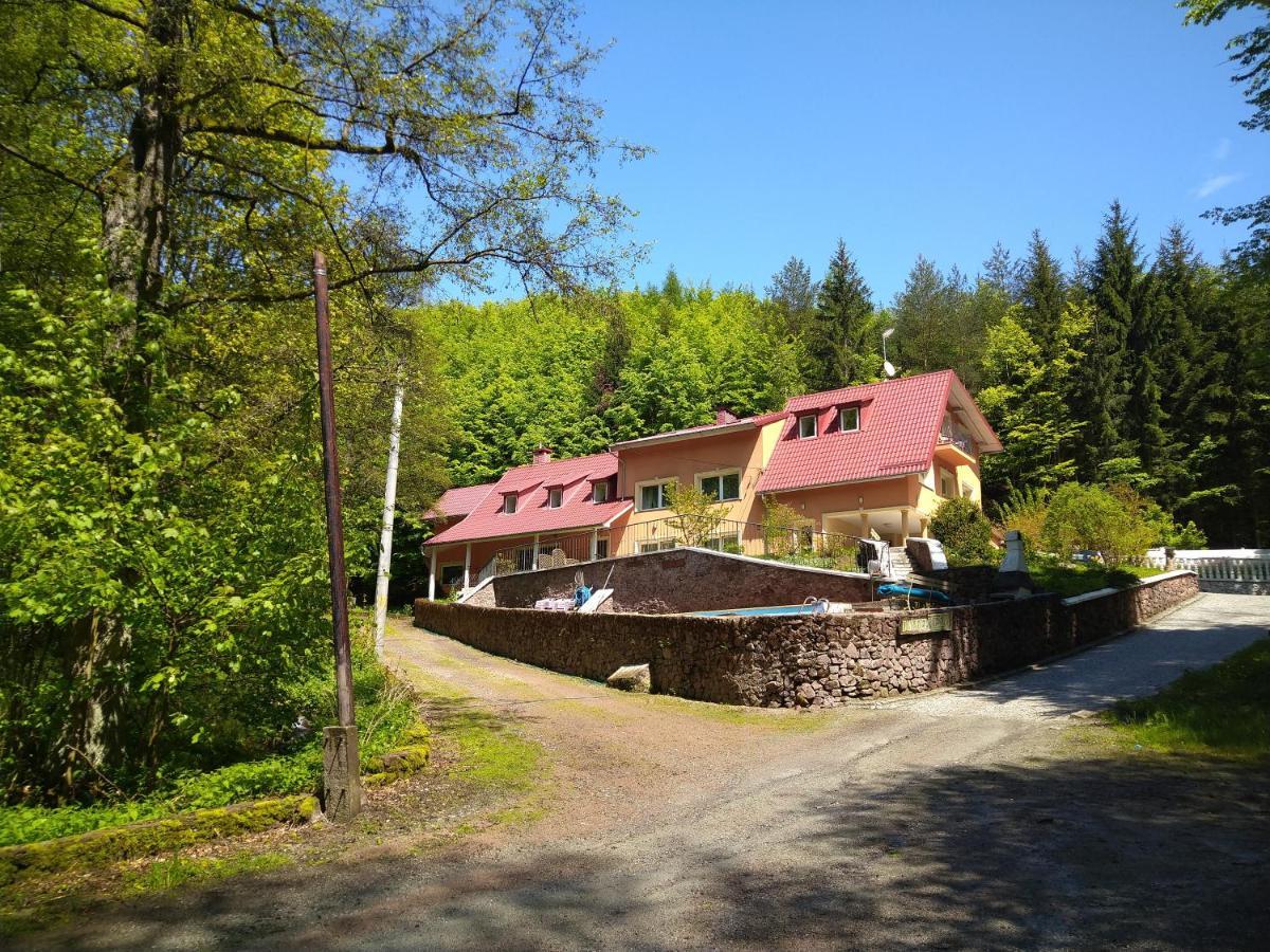Dworek Lesny Kudowa-Zdrój Exterior foto